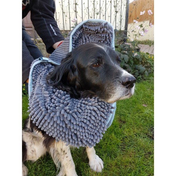 Dog Drying Solutions thirty2sheep